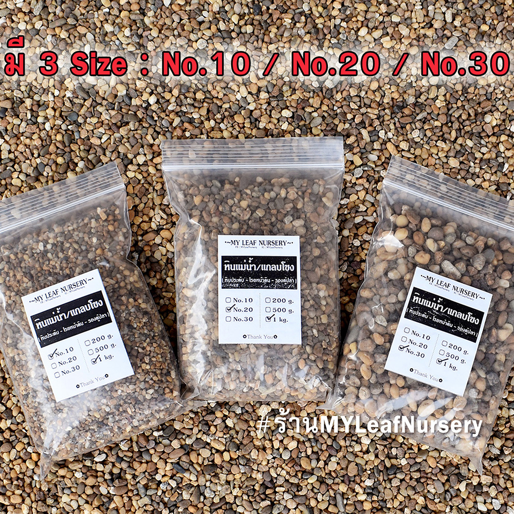 หินแม่น้ำสีน้ำตาล หินแกลบโขง กรวดแม่น้ำ กรวดน้ำตก หินแม่น้ำ หินโรยกระถาง หินตู้ปลา หินตู้ไม้น้ำ หินจัดสวน หินแกลบน้ำตาล - รูปที่ 2