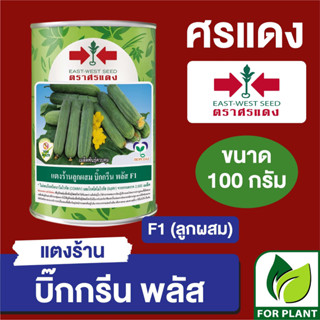 เมล็ดพันธุ์ ศรแดง Big แตงร้าน บิ๊กกรีนพลัส กระป๋อง ขนาด 100 กรัม