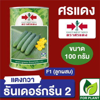 เมล็ดพันธุ์ ศรแดง Big แตงกวา ธันเดอร์กรีน กระป๋อง ขนาด 100 กรัม