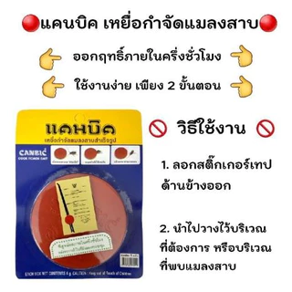 (Live) แคนบิค เหยื่อล่อแมลงสาป เหยื่อกำจัดแมลงสาป