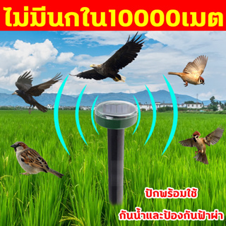 📣10000เมตร ไม่มีนกหรือหนู📣เครื่องไล่นก ไล่นกพิราบ อุปกรณ์ไล่นก ที่ไล่นกพิราบ ไม่จำเป็นต้องชาร์จ พร้อมใช้งาน สะดวก