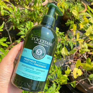 LOccitane Purifying Freshness Shampoo 500 ml.