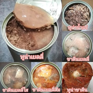 อาหารแมว+หมา กระป๋อง 400 กรัม สุ่มรสชาติ 20 กป. 580 บาท ส่งฟรี