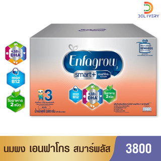 [นม 1 กล่อง ] นมผง เอนฟาโกร สมาร์ทพลัส  Enfagrow Smart+ สูตร3 3800 กรัม