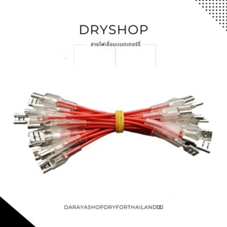 สายไฟเเบตเตอรี่รถไฟฟ้า สายเขื่อมเเบต แบบหางปลา Electric car battery cable, battery connector, fish tail type