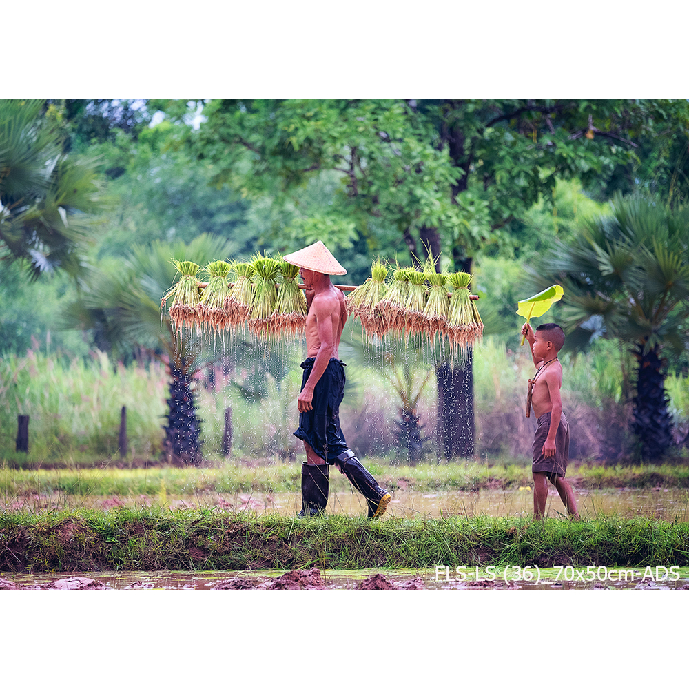 ภาพชุด วิถีชีวิตคนไทยในชนบท ประเพณี วัฒนธรรมไทย กับการใช้ชีวิตที่เรียบง่าย. เป็นสติ๊กเกอร์มีกาวในตัว