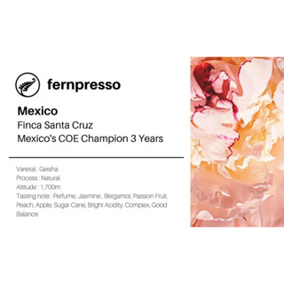 Mexico Finca Santa Cruz Mexicos COE Champion 3 Years