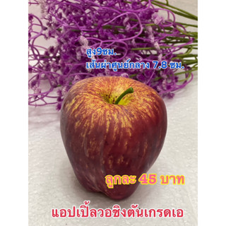 แอปเปิ้ลปลอม (วอชิงตันเกรดเอ)