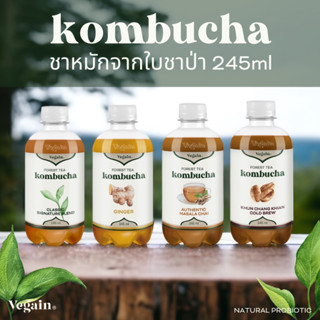 Vegain 245ml. Forest Tea Kombucha ชาหมักซีรีย์ใบชาป่า  เลือกรสชาติได้ 4 รส