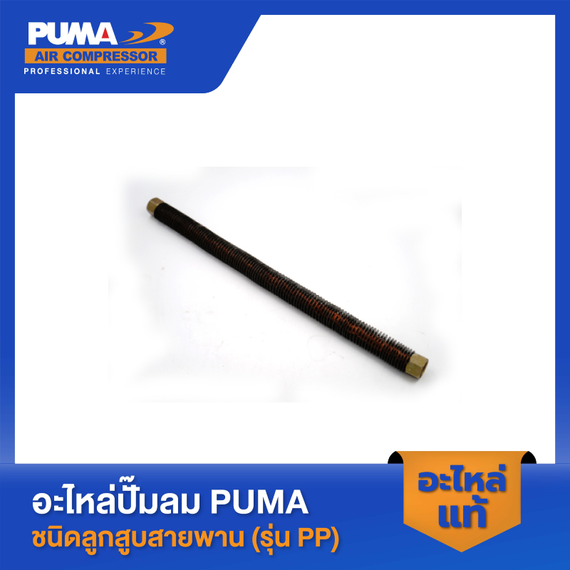 PUMA สายระบายลงถัง 1/2" 1 HP รุ่น PP-21