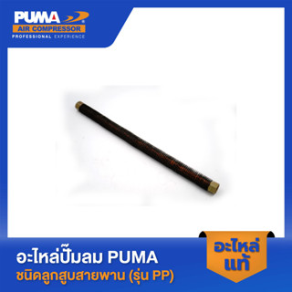 PUMA สายระบายลงถัง 1/2" 1 HP รุ่น PP-21