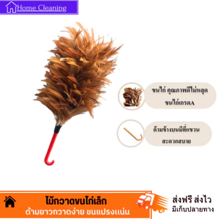 ไม้ปัดขนไก่อย่างดี เกรดA ด้ามจับพลาสติก ไม้ปัดฝุ่น ไม้ขนไก่