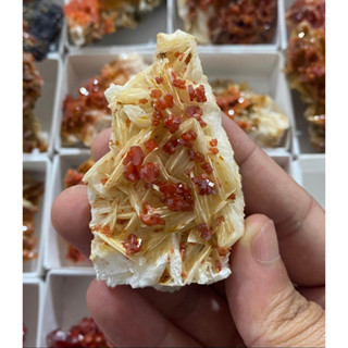 1 Pc Random Pick  Lustrous Vanadinite on Barite lot, Vanadinite specimens