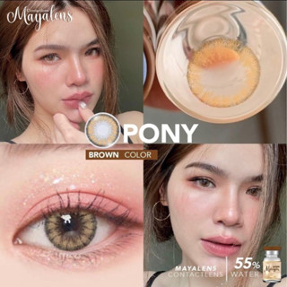 Pony brown maya lens ค่าอมน้ำ 55% คอนแทคเลนส์เปลี่ยน แทนทุกเดือน