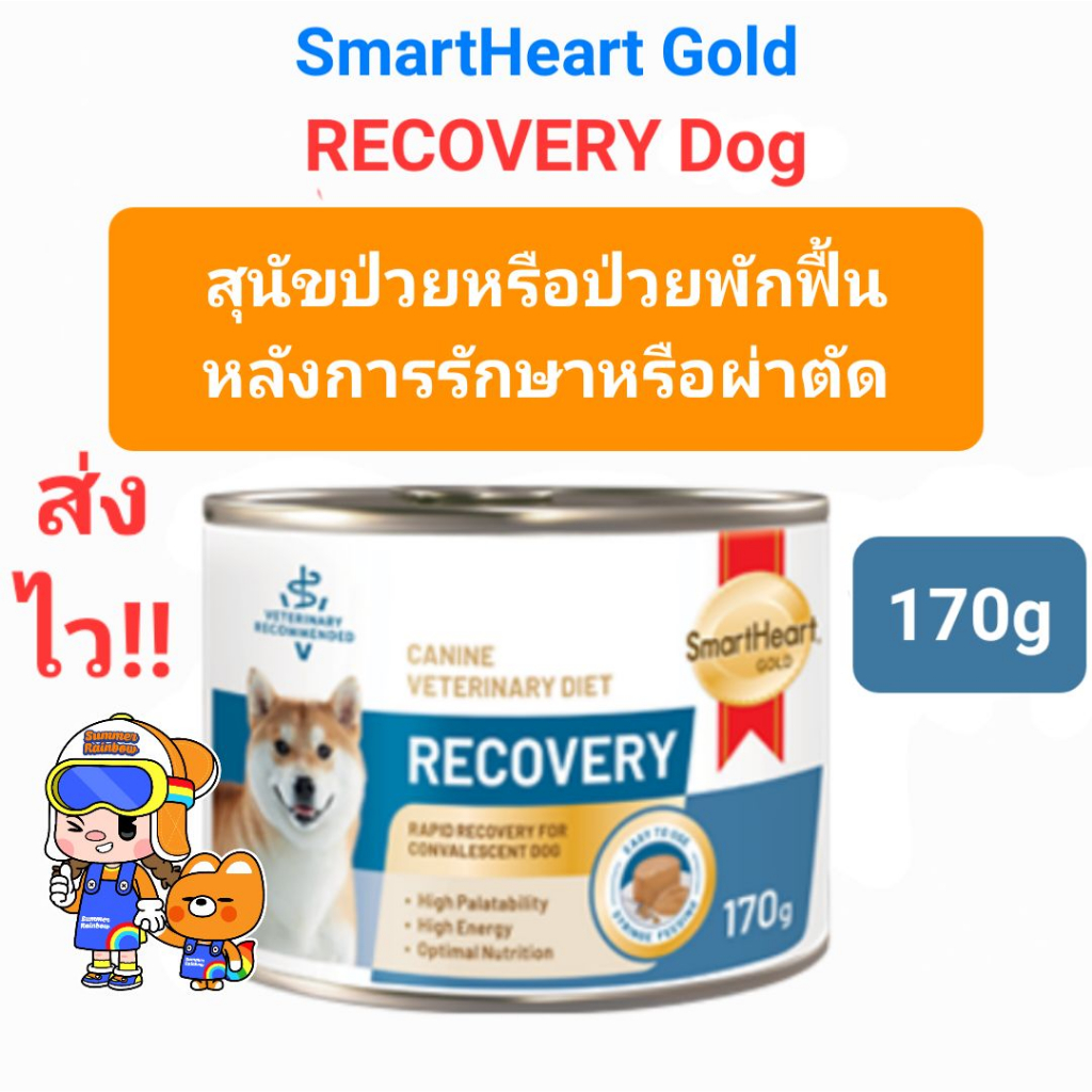 SmartHeart Gold RECOVERY 170g Dog สมาร์ทฮาร์ท โกลด์ อาหารเปียกสุนัขป่วยหรือพักฟื้น หลังการรักษาหรือผ่าตัด ขนาด 170 กรัม