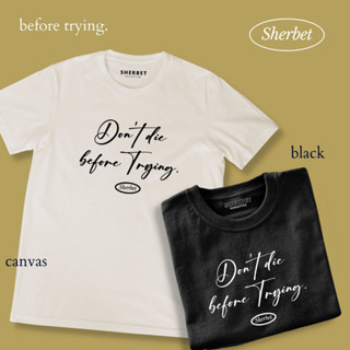 เสื้อยืดลาย before trying | sherbetteeshop