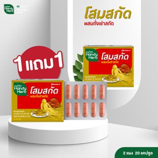 HandyHerb โสมสกัด (1แผงแถม1แผง รวม 20 แคปซูล) สมุนไพรชะลอวัย ขนาดคุ้มค่าทานประจำคุ้มกว่า ยกกระชับ ลดริ้วรอย