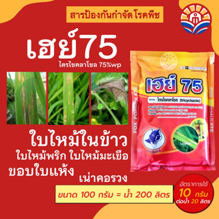 ส่งด่วน! เฮย์75 สารเดียวกันกับบีม75 ใบไหม้ ใบจุด กาบใบแห้ง เน่าคอรวง เน่าคอดิน ราสนิมขาว ขนาด100กรัม