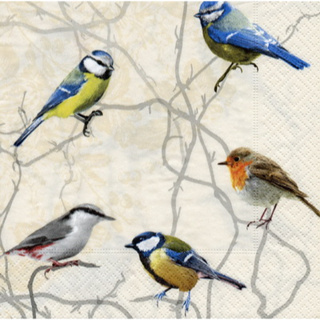 Pladao Napkin ภาพสัตว์ นกเกาะกิ่งไม้ Bird Pop Art กระดาษ แนพกิ้น สำหรับงานศิลปะ เดคูพาจ decoupage ขนาด L 33x33