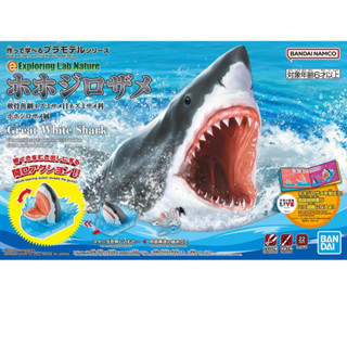 Bandai พลาโม EXPLORING LAB NATURE GREAT WHITE SHARK