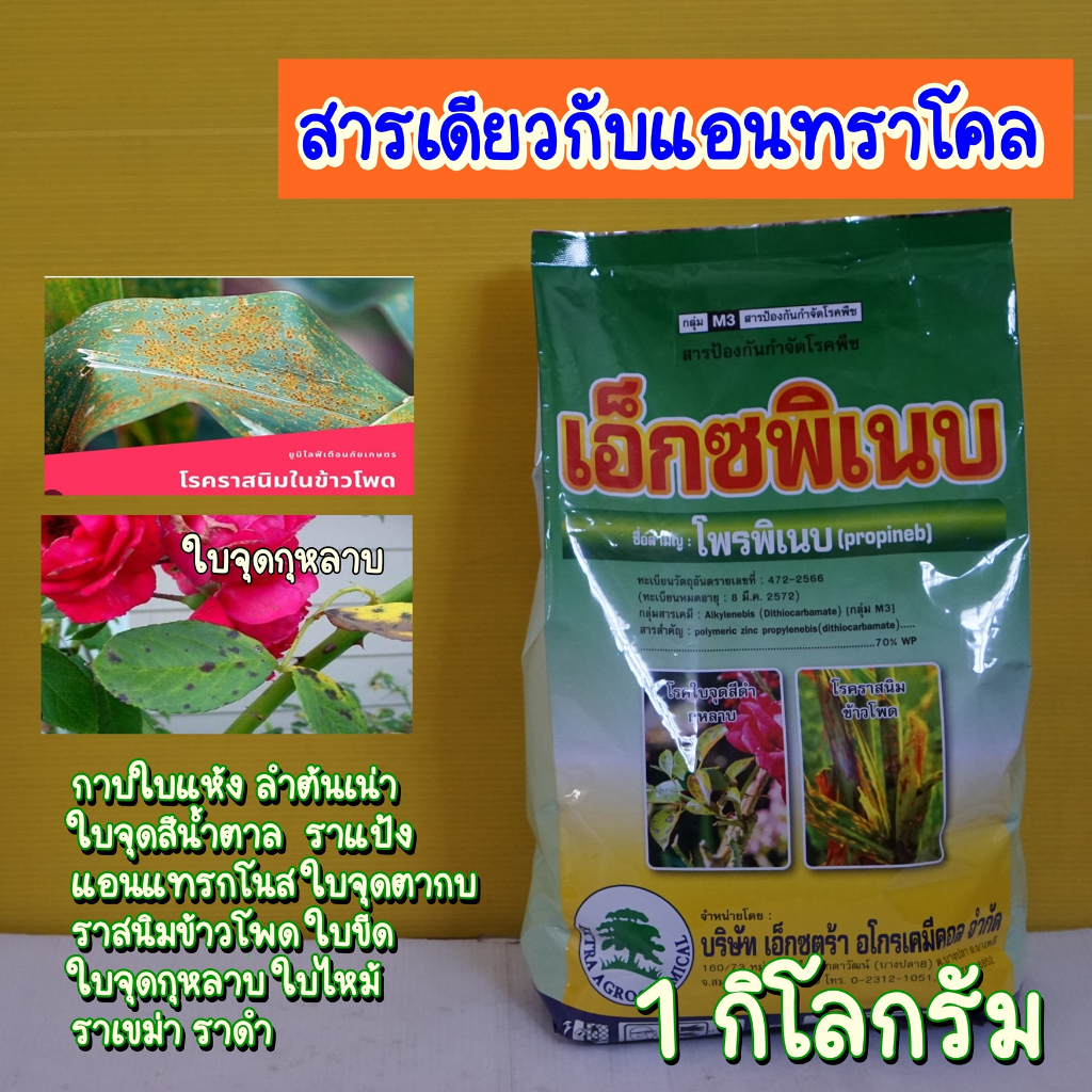 โพรพิเนบ เอ็กซพิเนบ (สารแอนทราโคล) ป้องกันโรคพืช 1กิโลกรัม ราดำ ราแป้ง กาบใบแห้ง ราสนิม ลำต้นเน่า