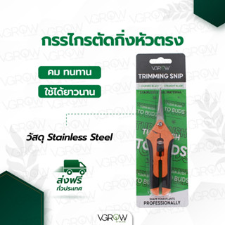 กรรไกรตัดกิ่ง ปลายตรง สเตนเลส Scissor Straight Blade Stainless Steel กรรไกรทริมหัวตรง