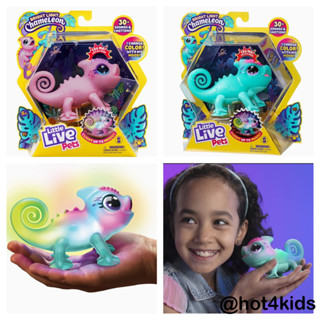 ✅ Little Live Pets - Sunny The Bright Light Chameleon Color Change Light Up Toy, 30+ Sounds&amp;Emotions💰จ่ายปลายทางได้💵แท้💯