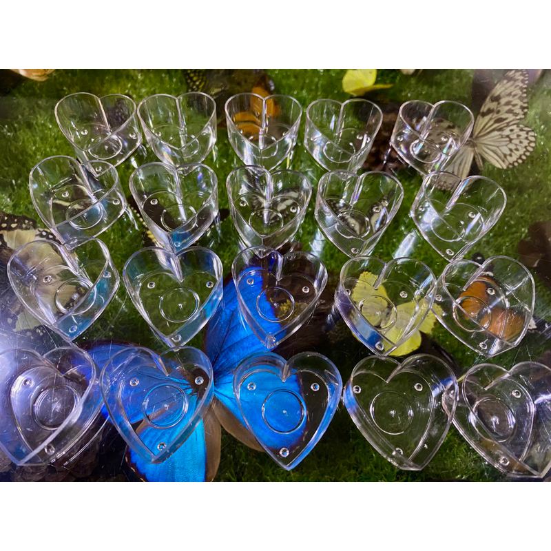 ถ้วยเทียนทีไลท์ใส -Tea light cup รูปหัวใจ 10 ชิ้น สินค้าพร้อมส่งจากไทย