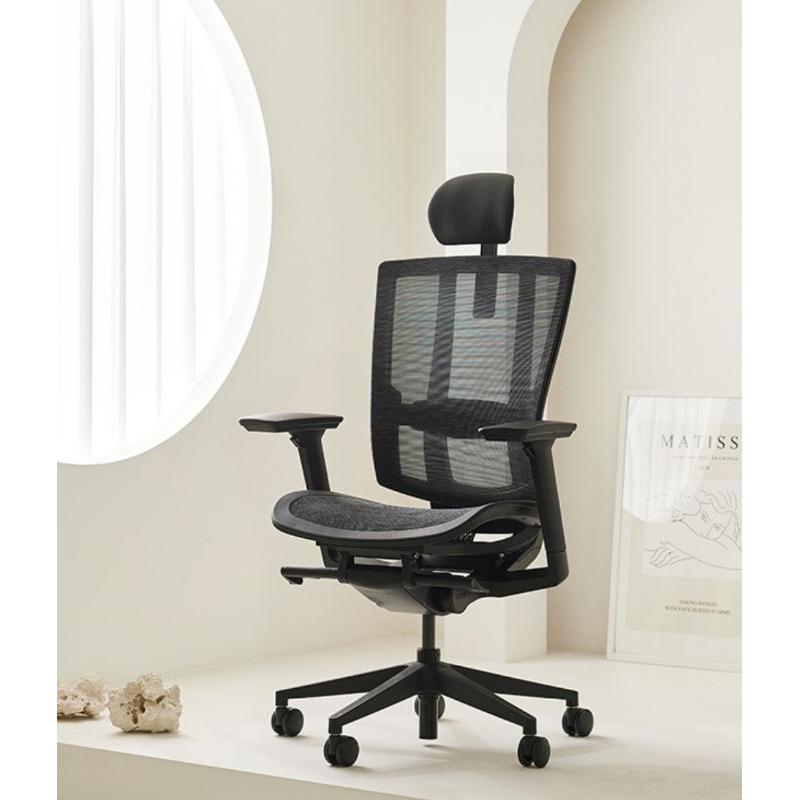 DuoFlex BR 200m Plus Ergonomic Black Edition เก้าอี้สุขภาพเบาะและพนังพิงโปร่งสบาย ยืดหยุ่นรับหลังดีเยี่ยม รุ่นยอดนิยม