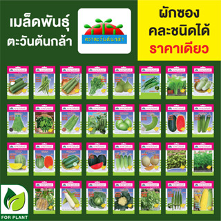 เมล็ดพันธุ์ผัก ผักซอง ตราตะวันต้นกล้า ราคา 7 บาท **คละชนิดได้ **