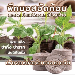 ดินพีทมอสอัดก้อน Peat Pellets ผสมขุยมะพร้าว ขนาด 30 มม.สำหรับเพาะ ชำต้นกล้า