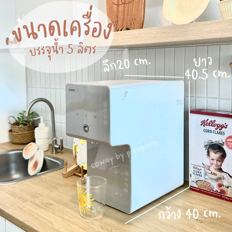 เครื่องกรองน้ำ Coway รุ่น ซินามอล น้ำอุณหภูมิปกติ thumbnail 4
