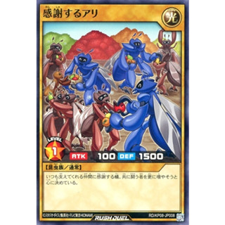 [Konami] [Yu-Gi-Oh! Rush Duel] Thantsgiving RD/KP08-JP008