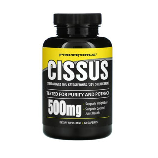 (ใหม่พร้อมส่ง) Primaforce, Cissus, 500 mg, 120 Capsules