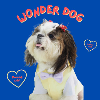 ชุดเก็บขน wonder dog เสื้อหมา เสื้อแมว ชุดกันขนร่วงสุนัข ชุดกระโปรง รุ่น Morning Shirt