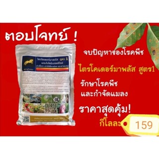 เชื้อไตรโคเดอร์มา​พลัส​ สูตร​ 1​ ขนาด1กิโลกรัม​ ราคาสุดคุ้ม​ ‼️จากผู้ผลิตโดยตรง​