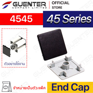 End Cap 4545 - 45 Series (จำหน่ายแบบตัว/แพ็ค) ฝาปิดสำหรับโปรไฟล์ขนาด 45×45 มีให้เลือก 2 สี ดำและเทา [ASD-45]