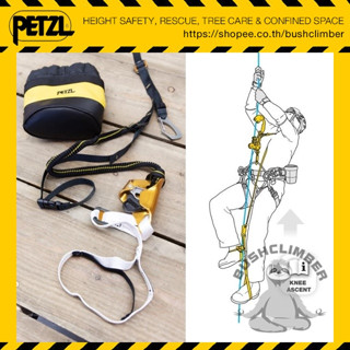 Petzl แท้จากบริษัท!! อุปกรณ์ไต่เชือก ล็อคเชือก บริเวณเข่า Petzl KNEE ASCENT LOOP for Tree care D022DA00