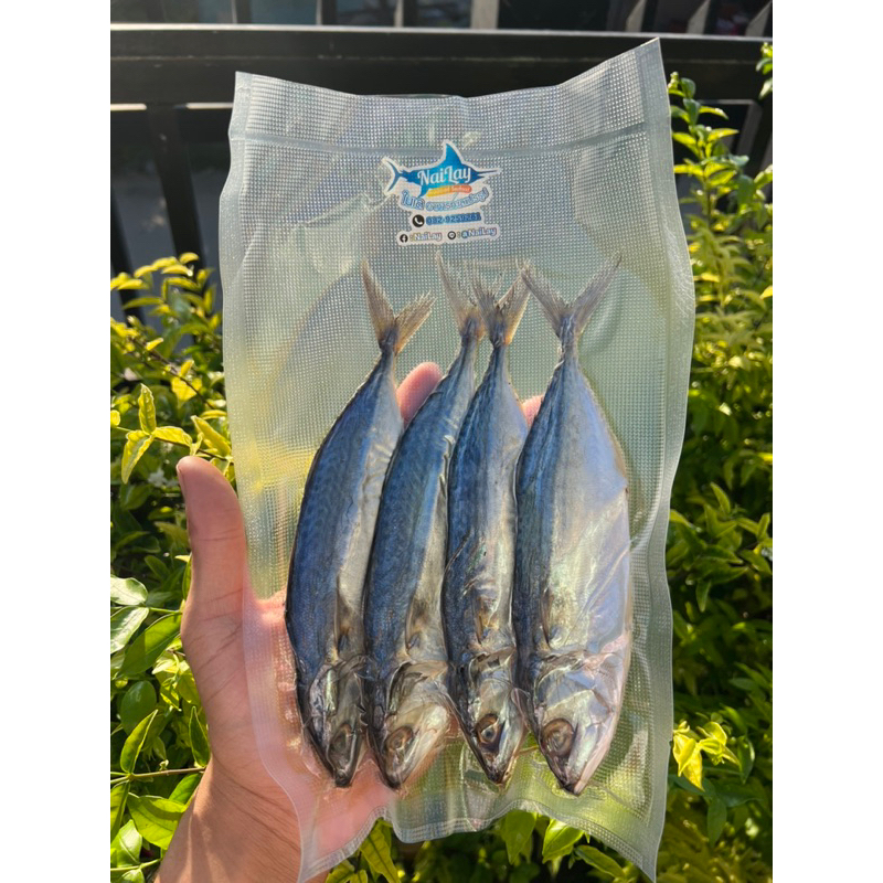 ปลาทูหอม ปลาทูมัน(เค็มน้อย)แพคเล็ก250กรัม