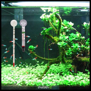 เทอร์โมมิเตอร์ Thermometer ตู้ปลา ตู้ไม้น้ำ เทอร์โมมิเตอร์ติดกระจก เทอร์โมมิเตอร์แขวน | บ้านไม้น้ำ🌿