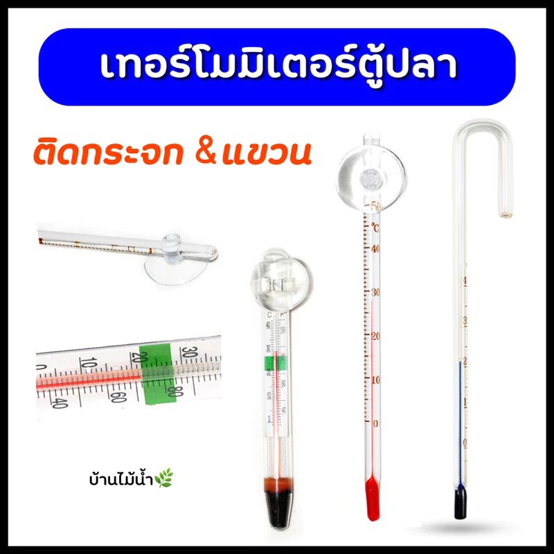 เทอร์โมมิเตอร์ Thermometer ตู้ปลา ตู้ไม้น้ำ เทอร์โมมิเตอร์ติดกระจก เทอร์โมมิเตอร์แขวน | บ้านไม้น้ำ🌿