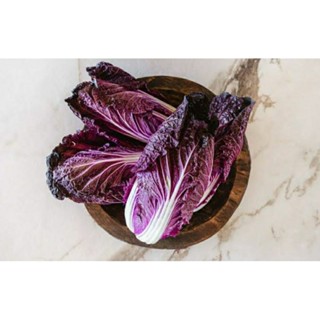 เมล็ดพันธุ์ผักกาดสีม่วง นาปา เรด เพอร์เพิล (Napa Red Purple Cabbage Seed F1) บรรจุ 100 เมล็ด ของแท้ คุณภาพดี นำเข้าจาก