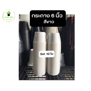 กระถาง 6 นิ้ว สีขาว ยกมัด 10 ใบ