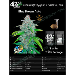 เมล็ดกัญชา Blue Dream Auto - FastBuds