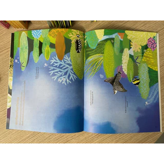 Aksara for kids หนังสือเด็ก สนุกกับการติด สติกเกอร์ ปลาสวยงาม ตามแนว ปะการัง