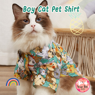 เสื้อแมว ชุดหมา ชุดสุนัข Boy Cat Pet Shirt เสื้อฮาวายแมว สก็อตติช โฟลด์