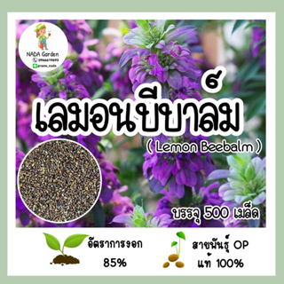 เมล็ดพันธุ์เลมอนบีบาล์ม (Lemon Beebalm) บรรจุ 500 เมล็ด อัตราการงอกสูง