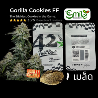 เมล็ดกัญชา Gorilla Cookies FF (Fast) - Fastbuds