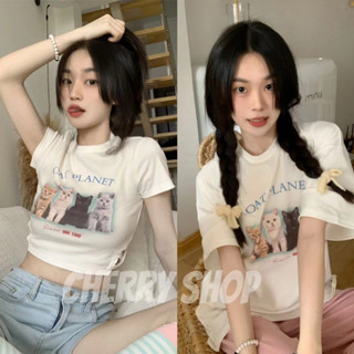 cherryshop พร้อมส่ง🔥เสื้อยืด🍀เสื้อยืดแขนสั้นพิมพ์ลายแมวผู้หญิง เสื้อครอป/หลวม ทรงพอดีตัว ท่อนบนมี 2 แบบ