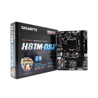 GIGABYTE  MAINBOARD (1150) GA-H81M-DS2 (REV.4.1)